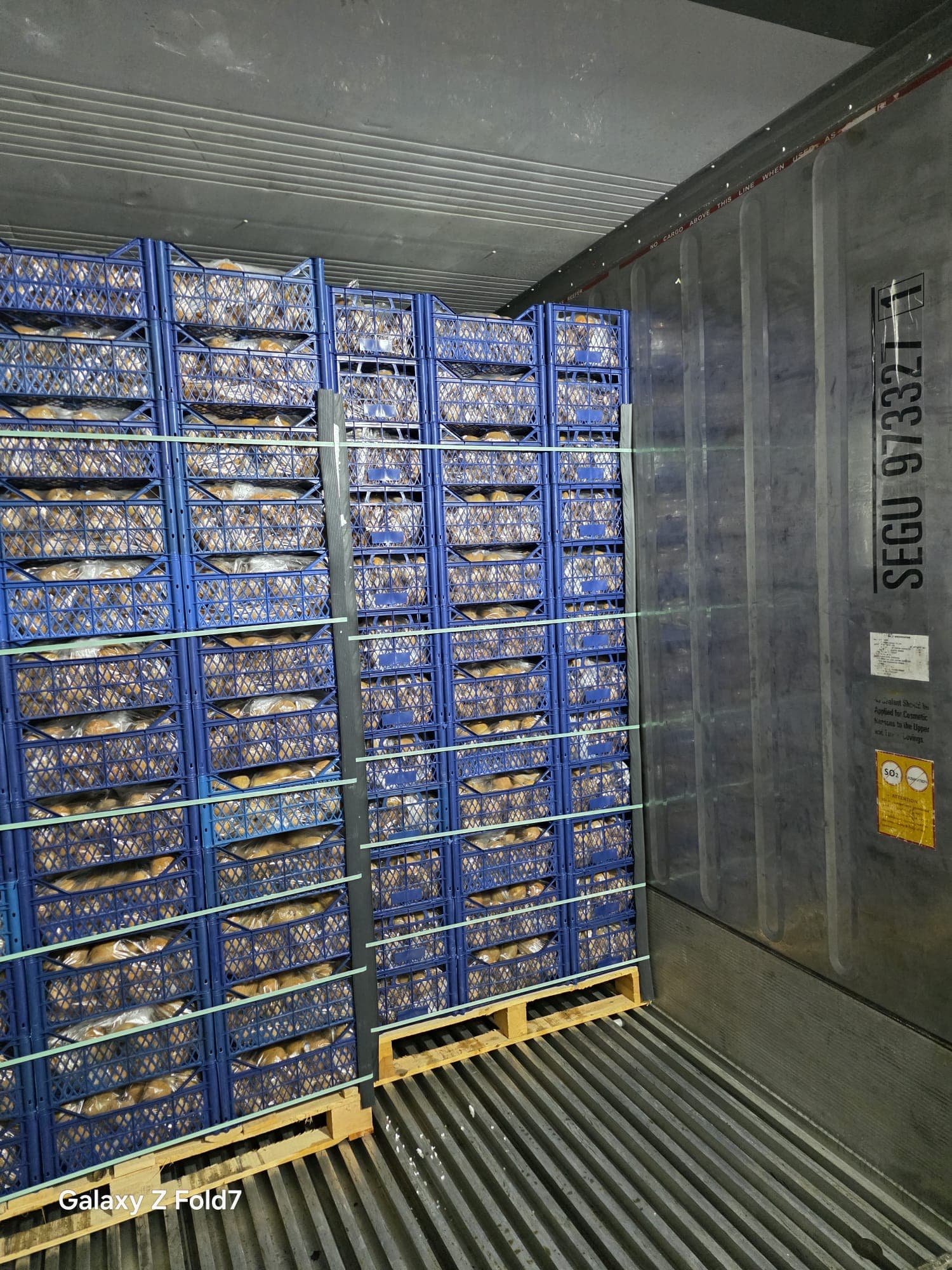 Fresh Kiwi – Premium Turkish Export Quality